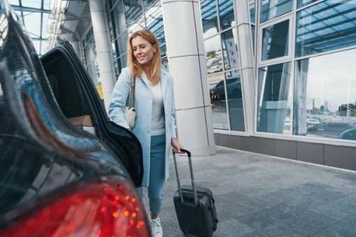 Taxi pour transfert depuis l'aéroport d'Orly, Fontainebleau, TAXI DRIVER